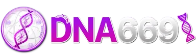 dna669 ทางเข้า สมัคร ทดลองเล่น และตรวจผลล่าสุด